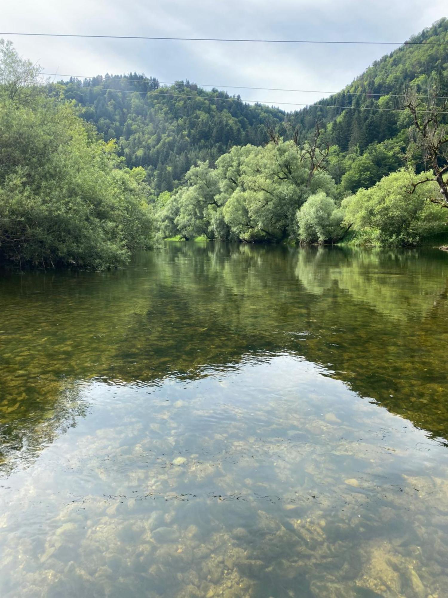 Maison Verte Roche Zewnętrze zdjęcie